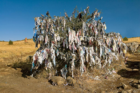 POTW_wishingtree_armenia dans Légendes Indiennes