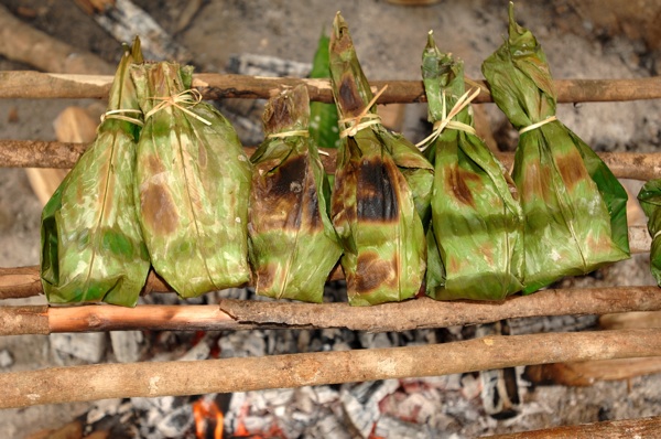 Tilapia Food