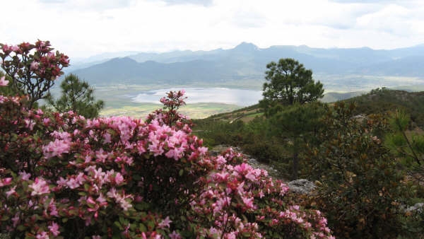 Take A Nature And Culture Tour In Lashi Lake Nature Reserve And Wehai Lake