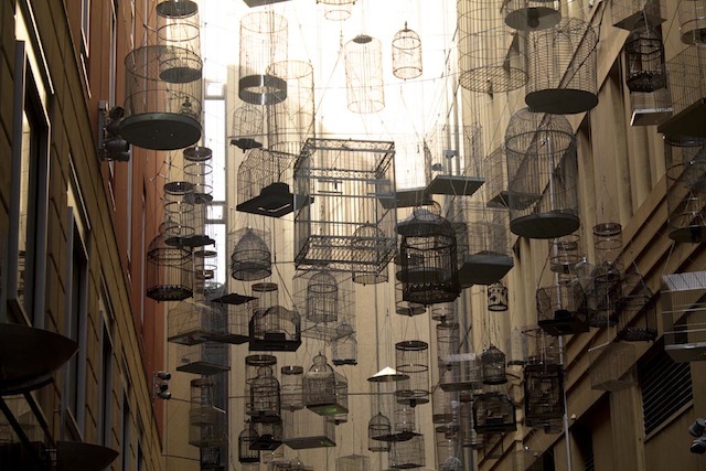 bird cages australia